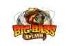 Big Bass Splash